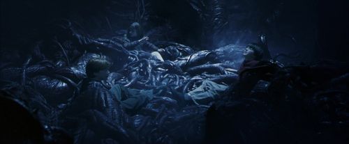 Click to view full size image
==============
PF-Potterish_09941.jpg PF-Potterish_09941.jpg