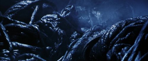 Click to view full size image
==============
PF-Potterish_09948.jpg PF-Potterish_09948.jpg