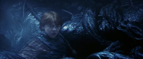 PF-Potterish_09962.jpg