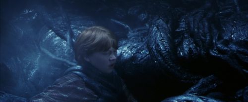 PF-Potterish_09963.jpg