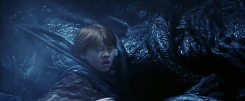 PF-Potterish_09964.jpg