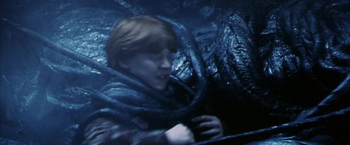 PF-Potterish_09966.jpg