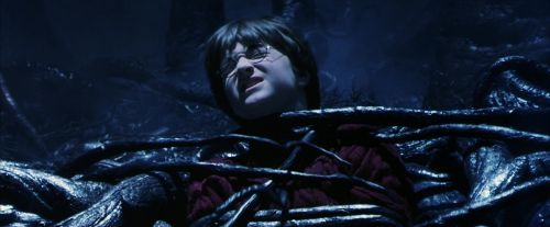PF-Potterish_09967.jpg