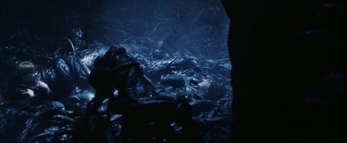 PF-Potterish_09974.jpg