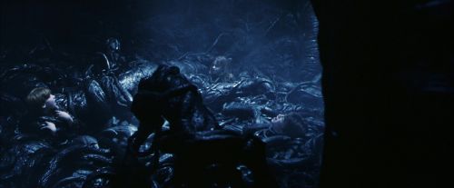 PF-Potterish_09977.jpg