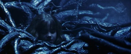 Click to view full size image
==============
PF-Potterish_09984.jpg PF-Potterish_09984.jpg