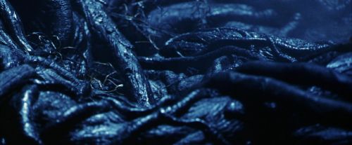 Click to view full size image
==============
PF-Potterish_09985.jpg PF-Potterish_09985.jpg