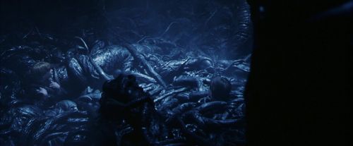Click to view full size image
==============
PF-Potterish_09987.jpg PF-Potterish_09987.jpg