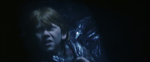 PF-Potterish_09993.jpg