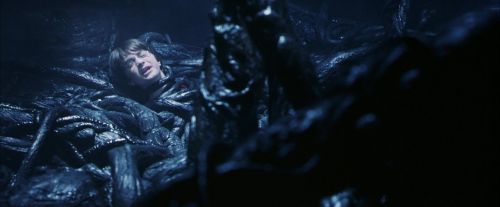 PF-Potterish_09994.jpg