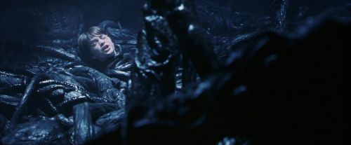 PF-Potterish_09995.jpg