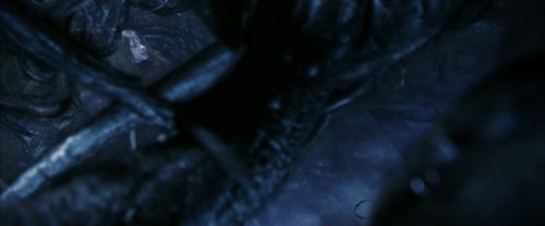 PF-Potterish_09996.jpg