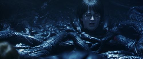 PF-Potterish_10001.jpg