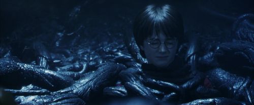 PF-Potterish_10002.jpg