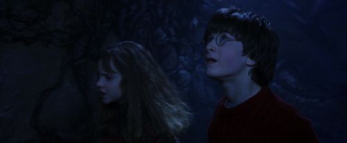 PF-Potterish_10026.jpg