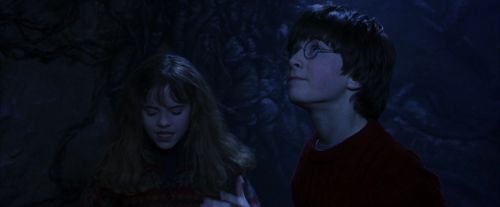 PF-Potterish_10027.jpg