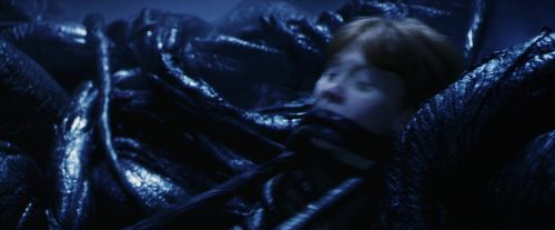 PF-Potterish_10030.jpg