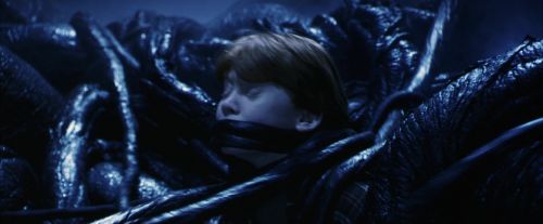 PF-Potterish_10031.jpg