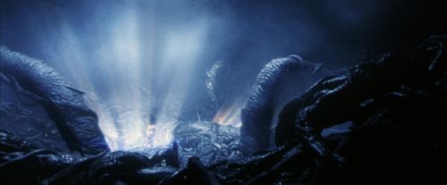 PF-Potterish_10049.jpg