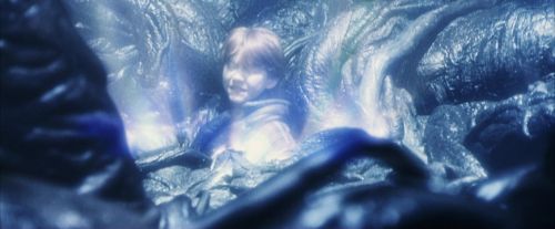 PF-Potterish_10050.jpg