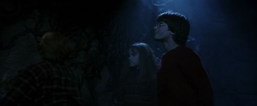 PF-Potterish_10061.jpg