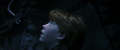 PF-Potterish_10063.jpg
