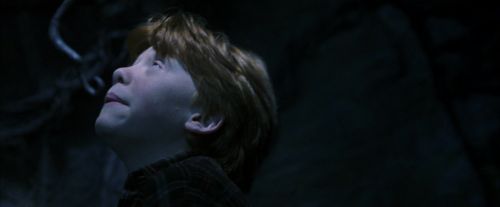 PF-Potterish_10064.jpg