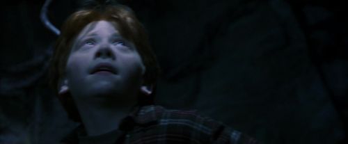 PF-Potterish_10065.jpg