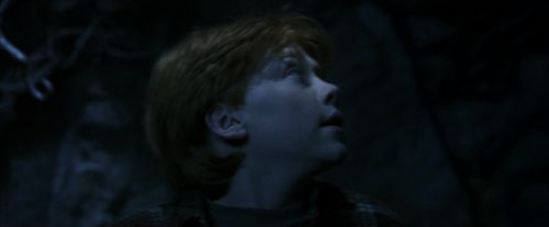 PF-Potterish_10066.jpg