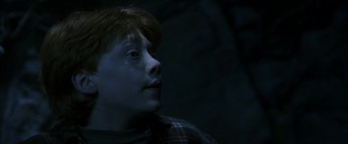 PF-Potterish_10067.jpg