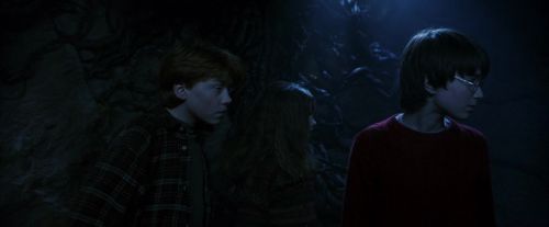 PF-Potterish_10075.jpg