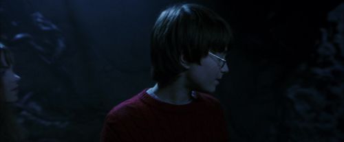 PF-Potterish_10079.jpg