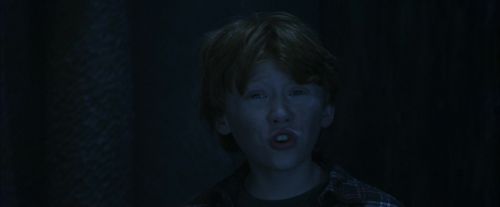 PF-Potterish_10180.jpg