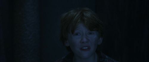 Click to view full size image
==============
PF-Potterish_10181.jpg PF-Potterish_10181.jpg