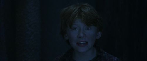 PF-Potterish_10183.jpg