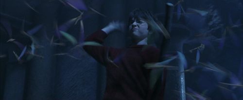 PF-Potterish_10214.jpg