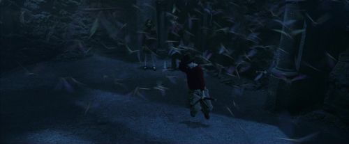 PF-Potterish_10219.jpg