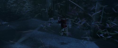 PF-Potterish_10220.jpg