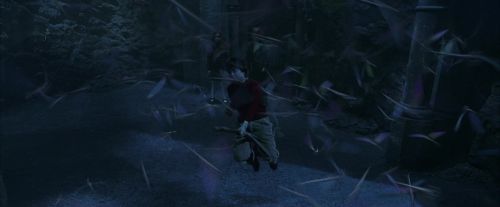 PF-Potterish_10221.jpg
