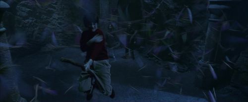 PF-Potterish_10223.jpg