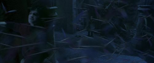 PF-Potterish_10225.jpg