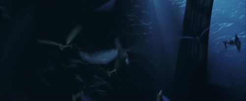 PF-Potterish_10228.jpg
