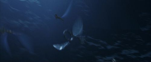 PF-Potterish_10230.jpg