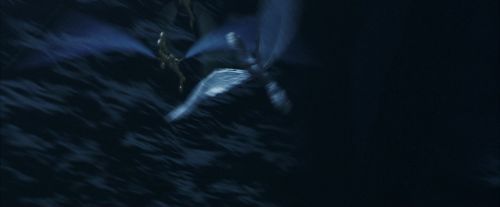 PF-Potterish_10231.jpg