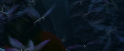 PF-Potterish_10234.jpg