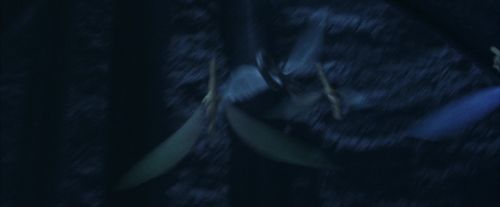 PF-Potterish_10235.jpg