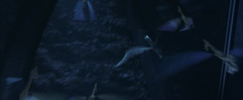 PF-Potterish_10236.jpg