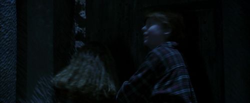 PF-Potterish_10268.jpg