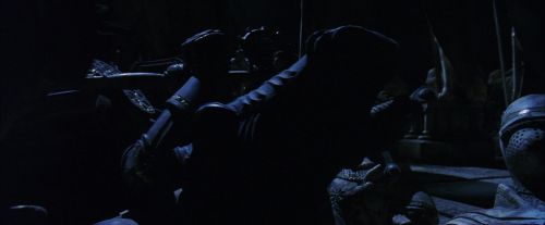 PF-Potterish_10281.jpg