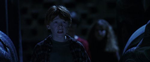 PF-Potterish_10335.jpg